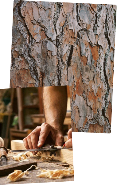 we-are-diverse-background-left