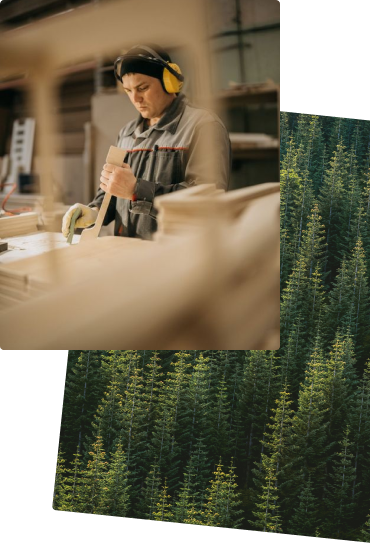 we-are-diverse-background-right