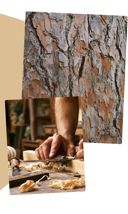 about-we-are-diverse-background-left