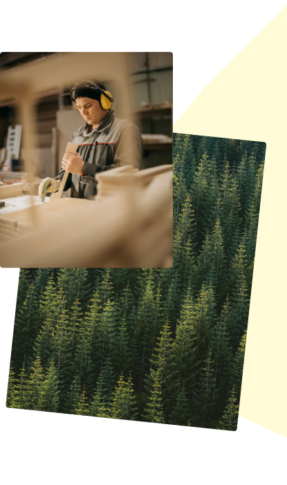 about-we-are-diverse-background-right